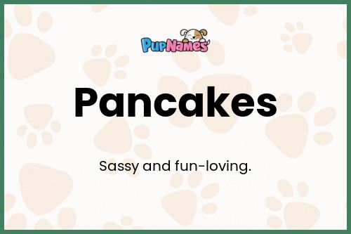 Pancakes dog name meaning