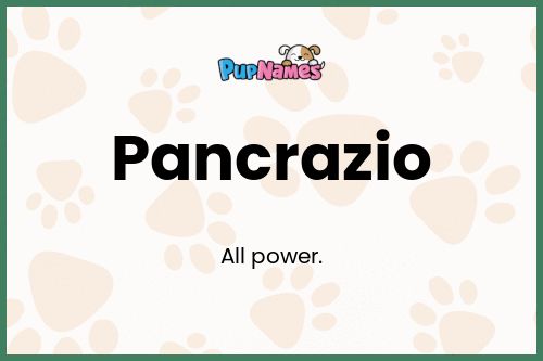 Pancrazio dog name meaning