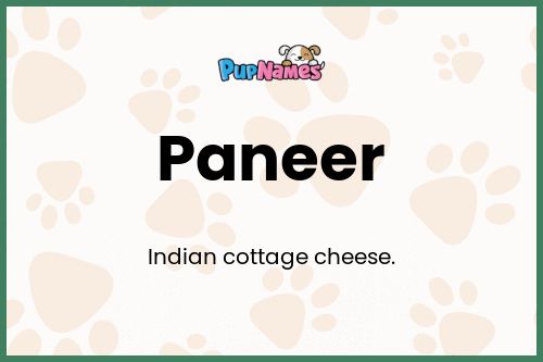 Paneer dog name meaning