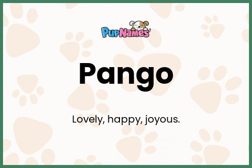 Pango dog name meaning