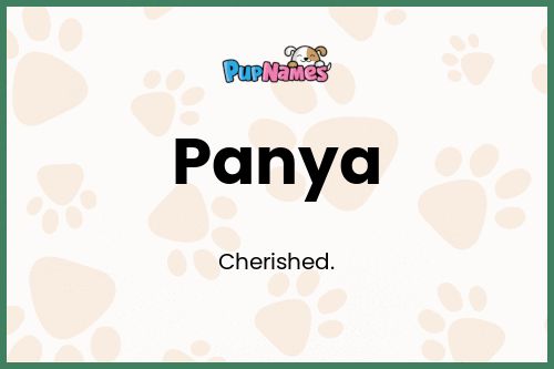 Panya dog name meaning