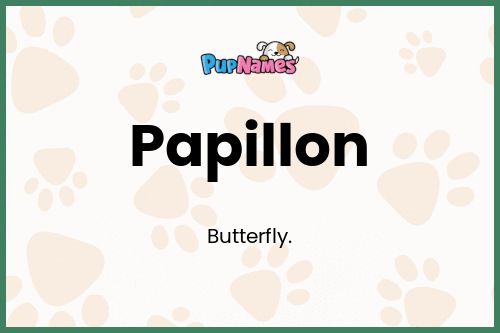 Papillon dog name meaning
