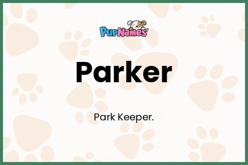 Parker dog name meaning