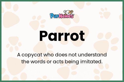 Parrot dog name meaning