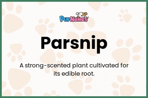 Parsnip dog name meaning