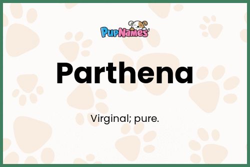 Parthena dog name meaning