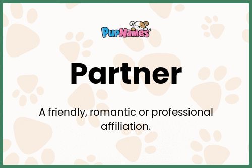 Partner dog name meaning