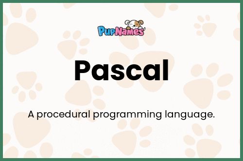 Pascal dog name meaning