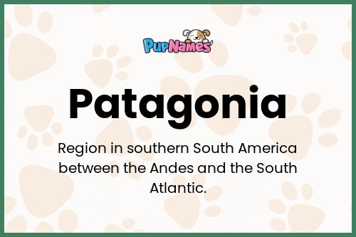 Patagonia dog name meaning