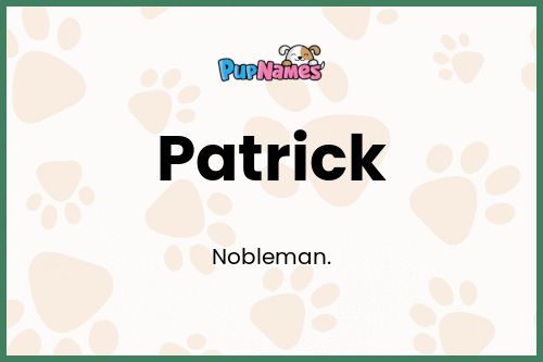 Patrick dog name meaning