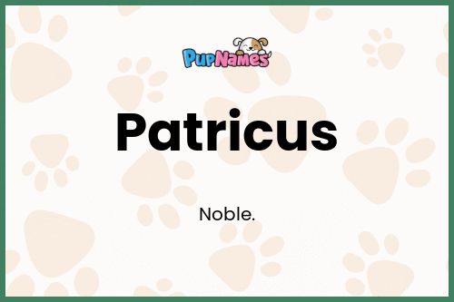 Patricus dog name meaning