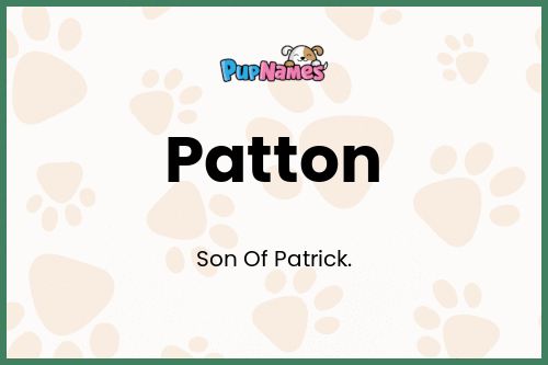 Patton dog name meaning