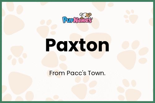 Paxton dog name meaning