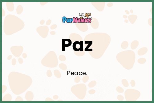 Paz dog name meaning