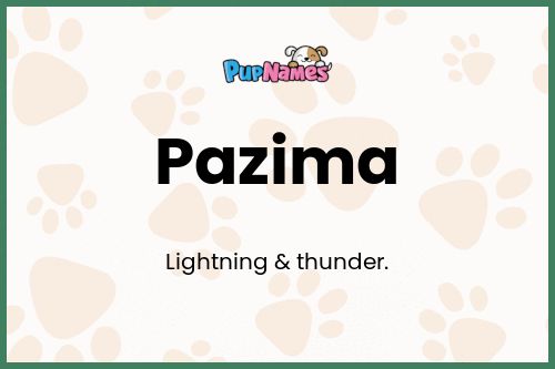 Pazima dog name meaning