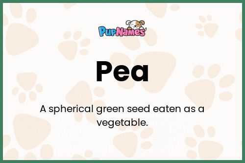 Pea dog name meaning