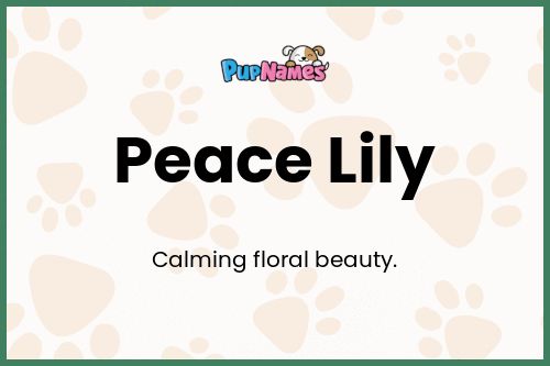 Peace Lily dog name meaning