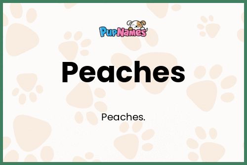 Peaches dog name meaning