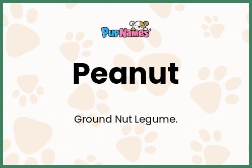 Peanut dog name meaning