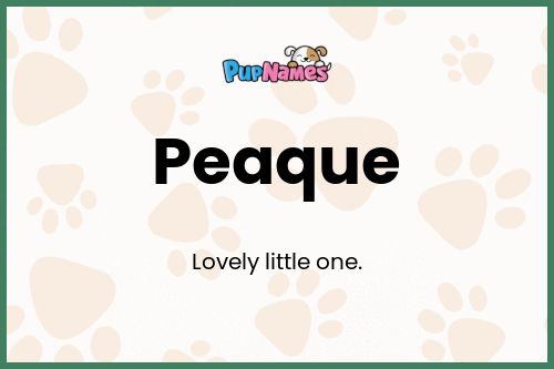 Peaque dog name meaning