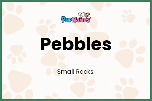 Pebbles dog name meaning