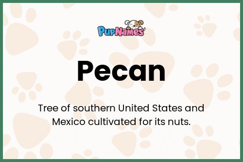 Pecan dog name meaning