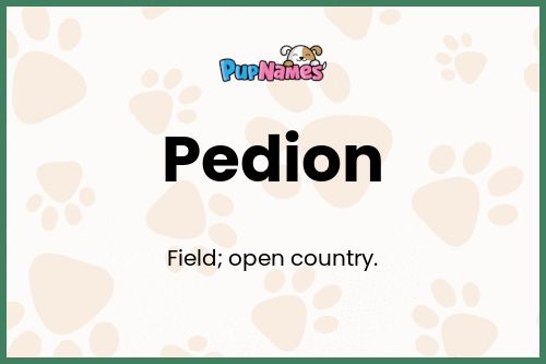 Pedion dog name meaning