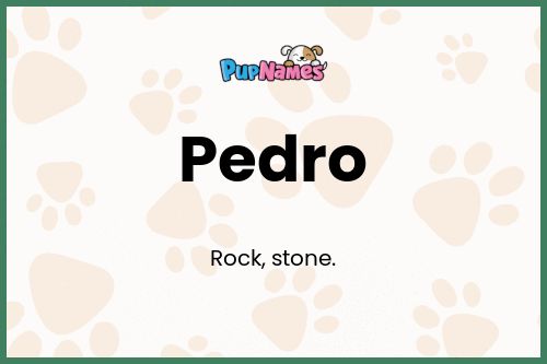 Pedro dog name meaning