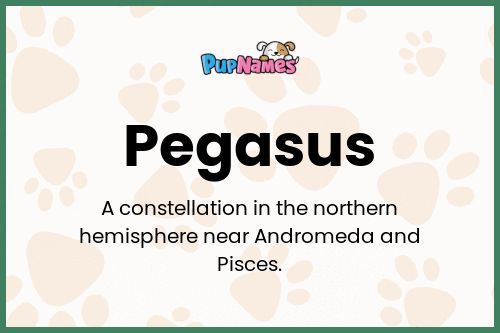 Pegasus dog name meaning