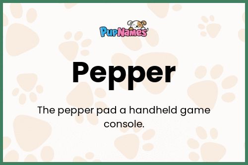 Pepper dog name meaning