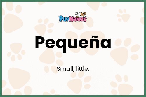 Pequeña dog name meaning