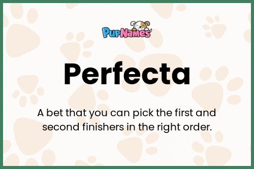 Perfecta dog name meaning