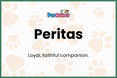 Peritas dog name meaning