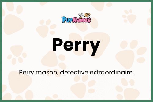 Perry dog name meaning
