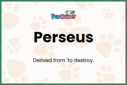 Perseus dog name meaning