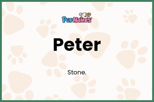 Peter dog name meaning