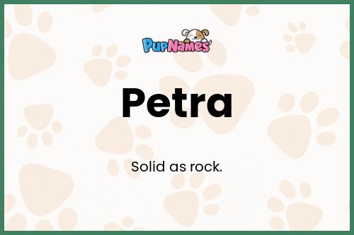 Petra dog name meaning