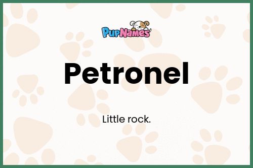 Petronel dog name meaning