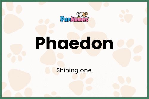 Phaedon dog name meaning