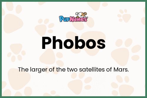 Phobos dog name meaning