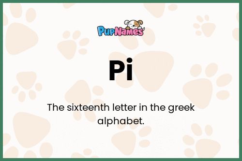 Pi dog name meaning