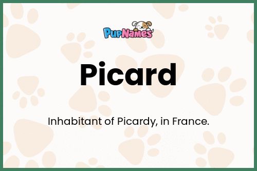 Picard dog name meaning