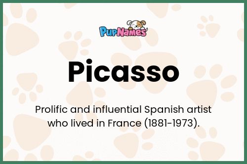 Picasso dog name meaning