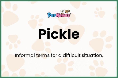 Pickle dog name meaning