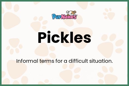 Pickles dog name meaning