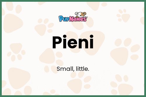 Pieni dog name meaning