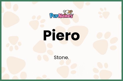 Piero dog name meaning