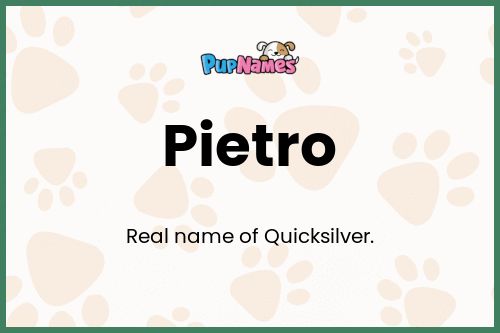 Pietro dog name meaning