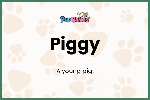 Piggy dog name meaning