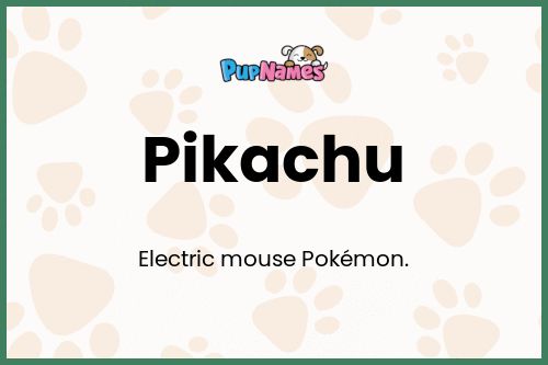 Pikachu dog name meaning